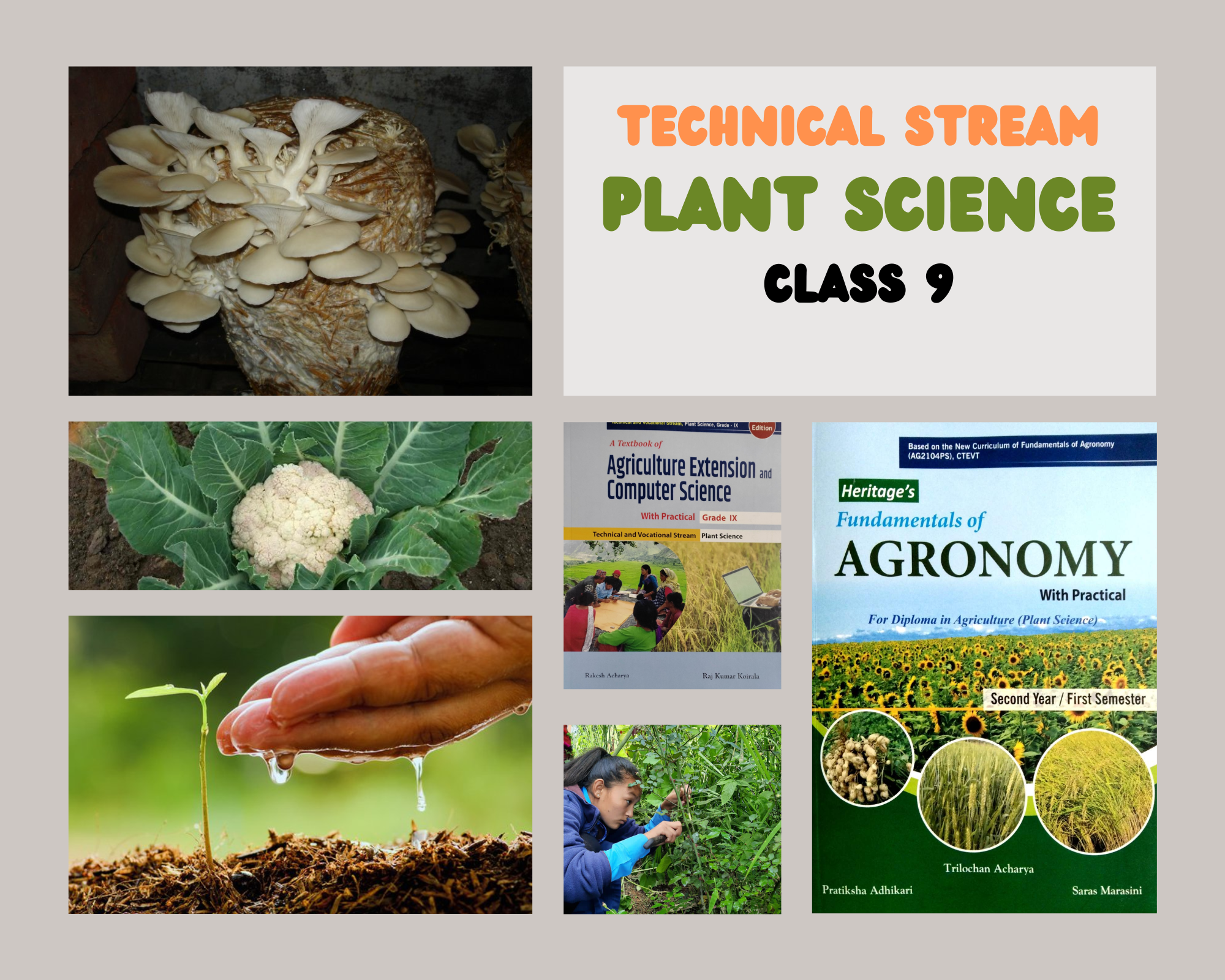 Technical Stream-Plant Science